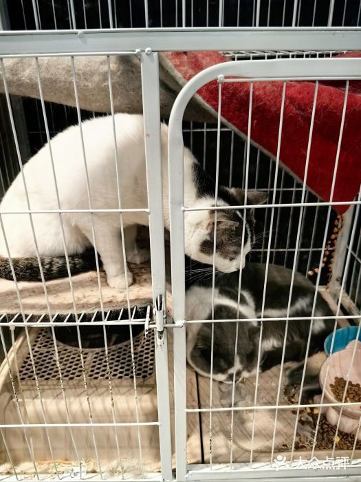 酷嗒动物文化乐园(cutezoo西溪乐天城店)图片