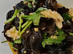 -洞庭家宴·头牌甲鱼(广渠门店)