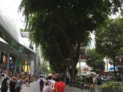 2016年2月21日，周日，Si-爱雍·乌节