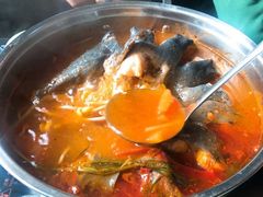 -弘烨 贵州酸汤 鱼火锅(东财店)