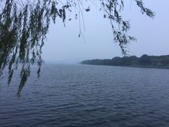 -西湖外事游船(花港观鱼码头)