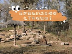 -北京野生动物园