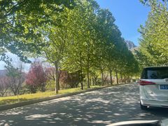 -天鹅湖生态旅游风景区