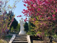 -北京西山国家森林公园