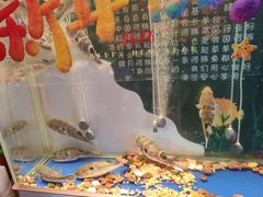 -肆月河豚·新淮扬菜·烤鸭(中关村店)