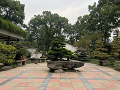 -南山植物园