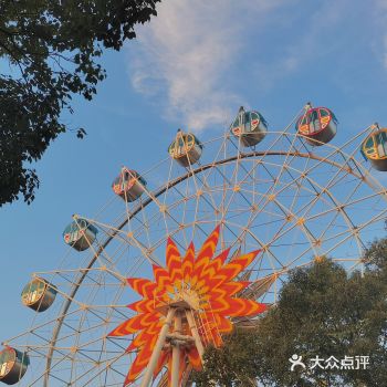 周末不知道去哪玩就来南郊公园野餐吧