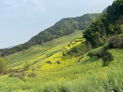 -灵山景区梯田