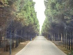 -秦始皇帝陵博物院-丽山园