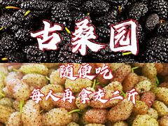 -御林古桑园