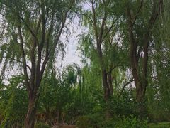 -北坞公园