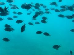 -亚龙湾海底世界