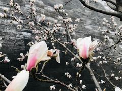 -东华门大街小区
