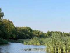 -前关湿地公园