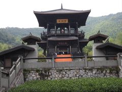 -大唐贡茶院