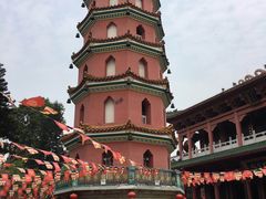 -无影脚佛山陈氏盲公丸始创店(飞鸿街店)