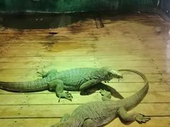 -石家庄市动物园