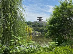 -张坝桂圆林公园