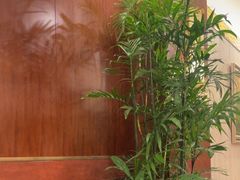 -上海精菜馆(虎踞关店)