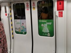 -竹子林(地铁站)