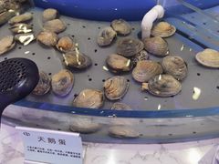 -澜悦港海鲜体验主题餐厅