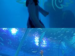 -前王院•巧克力海鲜市集餐厅(万平口店)