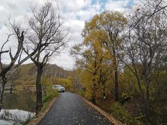 -洮儿河国家湿地公园