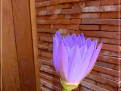 -泰香米泰国餐厅(北城天街店)
