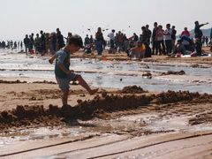 -日照海滨国家森林公园