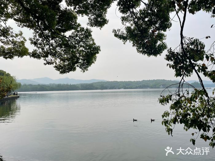 西湖外事游船(花港观鱼码头)图片