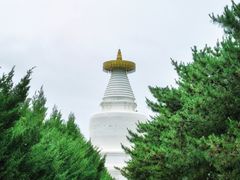 -凉州白塔寺景区