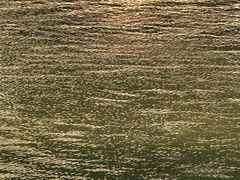 -加伍磅健身(千树店)