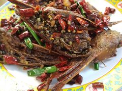 干锅辣鸭头-清真老马家海鲜大排档(台东店)