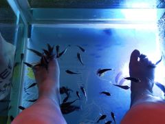 -汤连得温泉馆(宝山店)