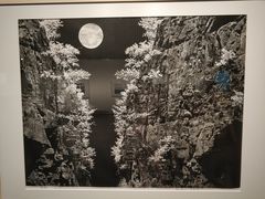 -江苏省美术馆(长江路新馆)