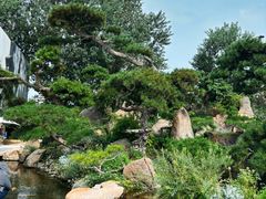 -罗红摄影艺术馆