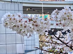 -锦江乐园(地铁站)