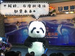 -成都浩海立方海洋公园