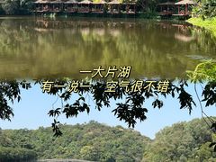 -李小龙乐园(顺德均安店)