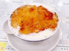 桃胶双皮奶-仁信老铺(华盖路店)