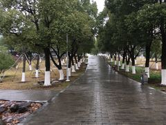 -白塘生态植物园