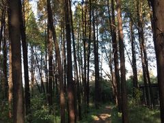 -同里国家湿地公园