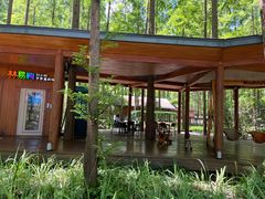 -黄海国家森林公园