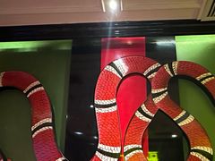 -歌友汇KTV(大悦城11层店)