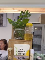 -27°罗马风情婚纱摄影