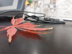 -江南大学(蠡湖校区)