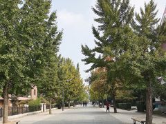 -天正河鲀·河豚亭(大连店)