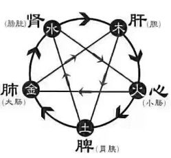 -香薇妮丝女子减肥院