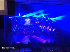 -顺德演艺中心大剧院