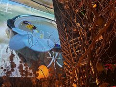 -桂满陇·海市蜃楼·黑金(国金店)